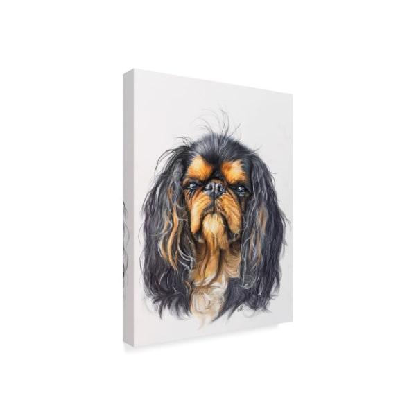 Barbara Keith 'King Charles Spaniel' Canvas Art,24x32